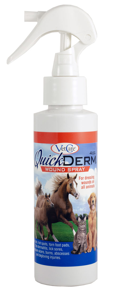 QuickDerm Wound Care Spray | Integrative Veterinary Care