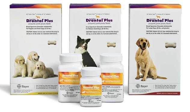 Drontal Plus Canine